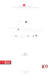 Vergi Ceza Hukuku Çalışmaları