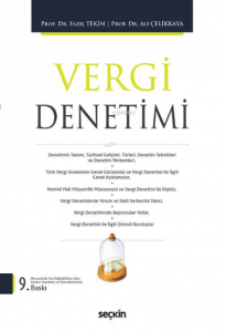 Vergi Denetimi