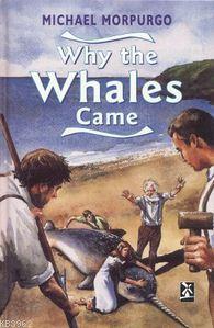 Why the Whales Came