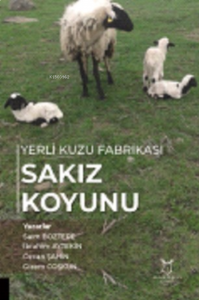 Yerli Kuzu Fabrikası Sakız Koyunu