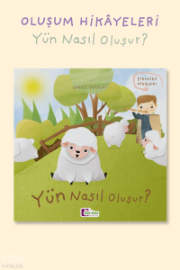 Yün Nasıl Oluşur?