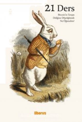 21 Ders: Bitcoin’in Tavşan Deliğine Düştüğümde Ne Öğrendim?