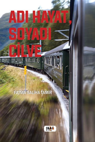 Adı Hayat, Soyadı Cilve