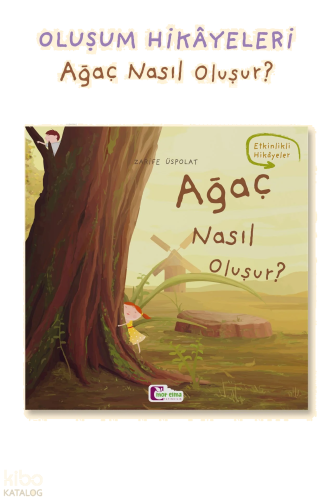 Ağaç Nasıl Oluşur?