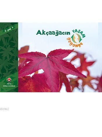 Akçaağacın Yaşam Döngüsü
