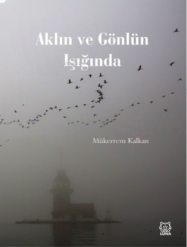 Aklın ve Gönlün Işığında