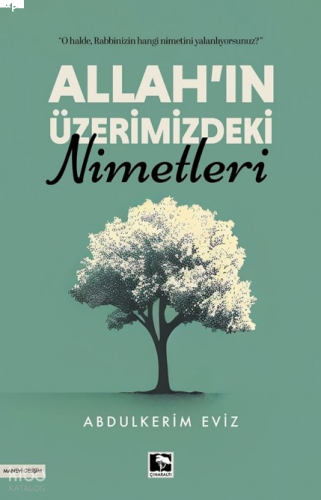 Allah'ın Üzerimizdeki Nimetleri