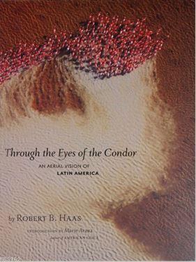 An Aerial Vision of Latin America