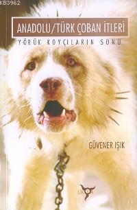 Anadolu/Türk Çoban İtleri; Yörük Koyçıların Sonu