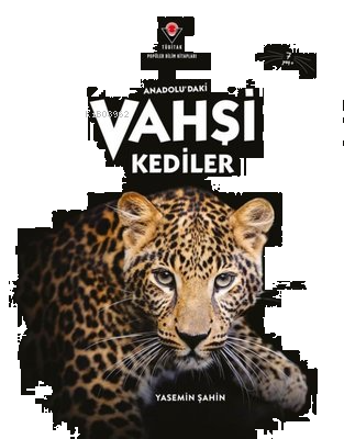 Anadolu'daki Vahşi Kediler