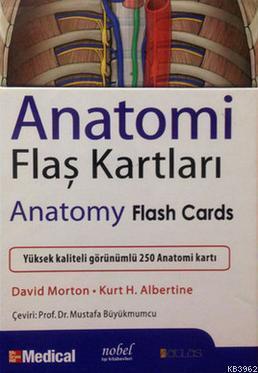 Anatomi Flaş Kartları