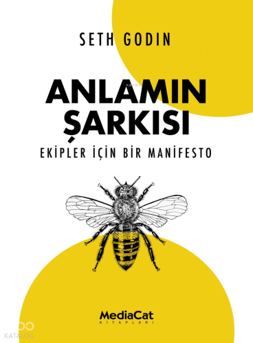 Anlamın Şarkısı ;Ekipler İçin Bir Manifesto