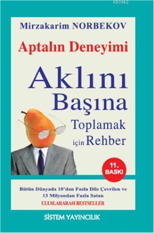 Aptalın Deneyimi; Aklını Başına Toplamak İçin Rehber