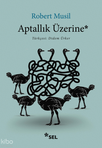 Aptallık Üzerine