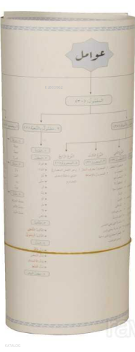 Arapça Avamil Şeması (Poster Tablo)