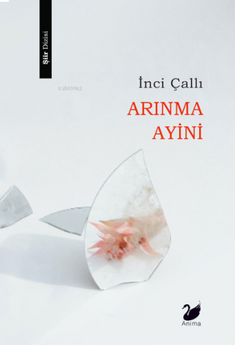 Arınma Ayini