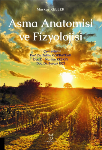 Asma Anatomisi ve Fizyolojisi