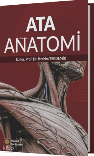 Ata Anatomi