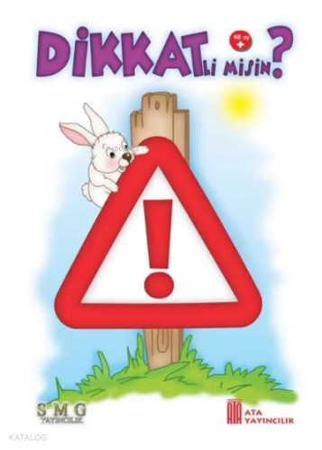 Ata Yayıncılık Dikkatli Misin? (Dikkat Kitabı) (48 Ay)