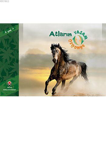 Atların Yaşam Döngüsü