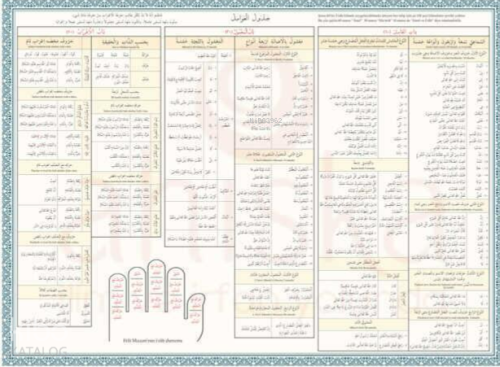 Avamil Şeması Renkli