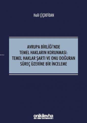 Avrupa Birliği'nde Temel Hakların Korunması:Temel Haklar Şartı ve Onu Doğuran Süreç Üzerine; Bir İnceleme