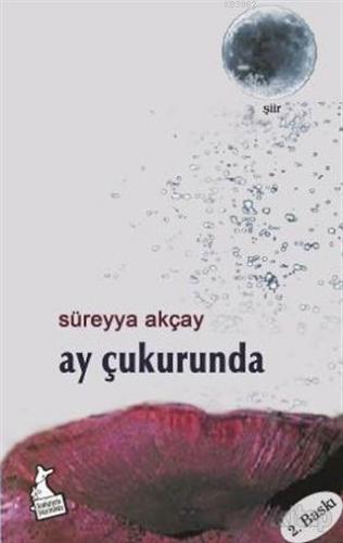 Ay Çukurunda