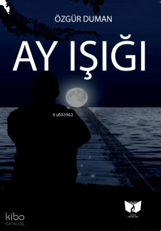 Ay Işığı