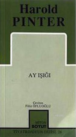 Ay Işığı