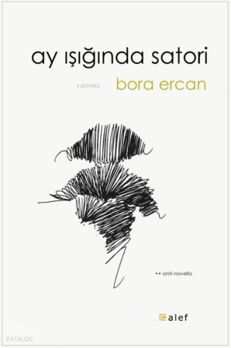 Ay Işığında Satori