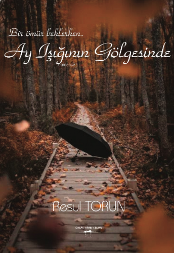 Ay Işığının Gölgesinde