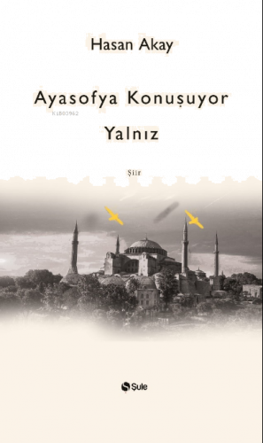 Ayasofya Konuşuyor Yalnız