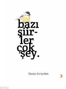 Bazı Şiirler Çok Şey