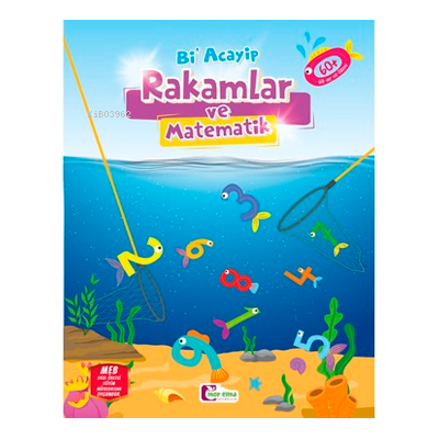 Bi Acayip Rakamlar Ve Matematik