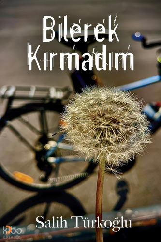 Bilerek Kırmadım