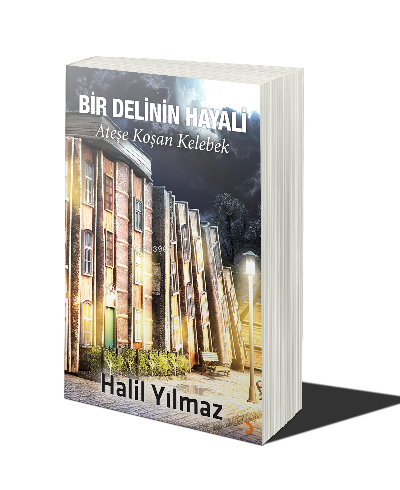 Bir Delinin Hayali