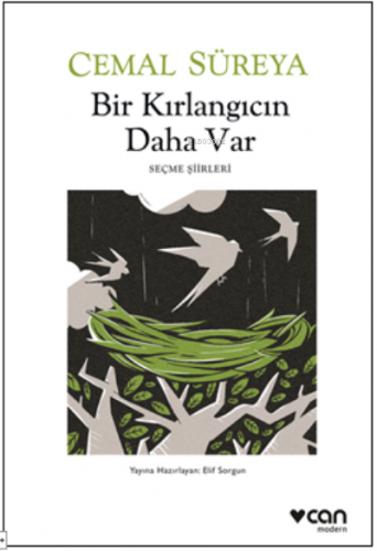Bir Kırlangıcın Daha Var