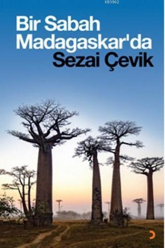 Bir Sabah Madagaskar'da