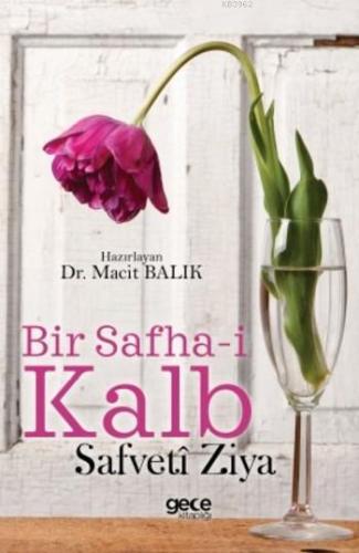 Bir Safha-i Kalb; Safveti Ziya