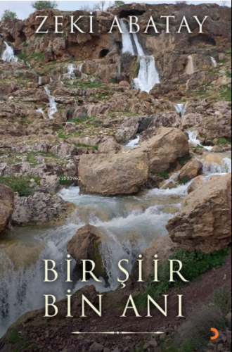 Bir Şiir Bin Anı