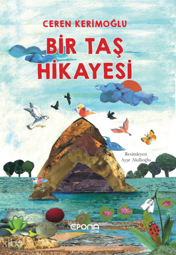 Bir Taş Hikayesi