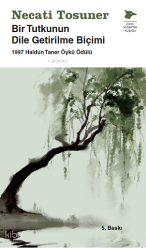 Bir Tutkunun Dile Getirilme Biçimi