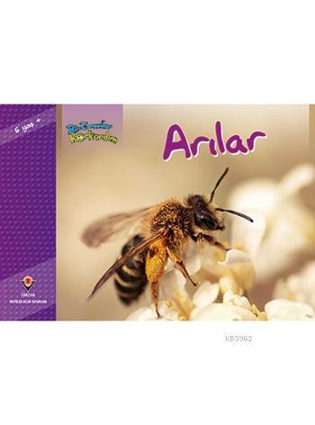 Bir Zamanlar Korkardım - Arılar