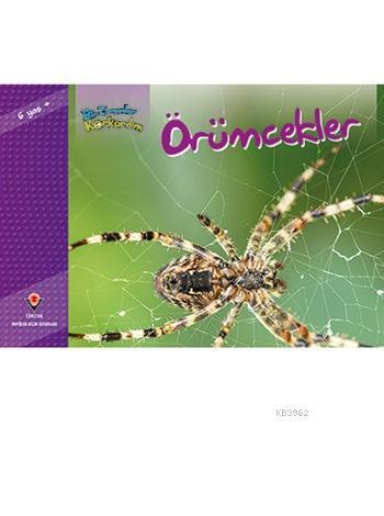 Bir Zamanlar Korkardım - Örümcekler