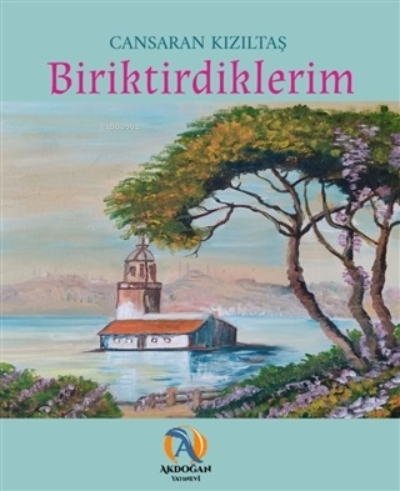 Biriktirdiklerim