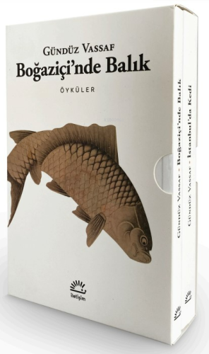 Boğaziçi'nde Balık - İstanbul'da Kedi (2 Kitap - Kutulu Set)