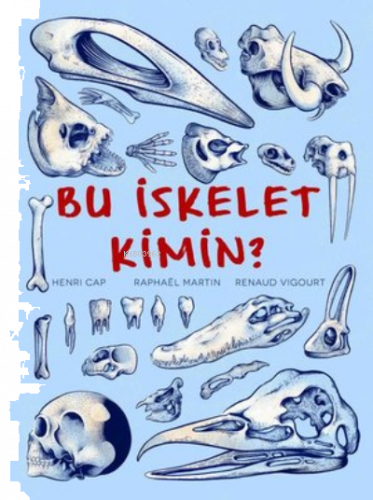 Bu İskelet Kimin?