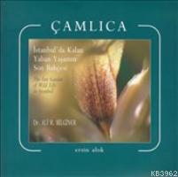 Çamlıca; İstanbul'da Kalan Yaban Yaşamın Son Bahçesi