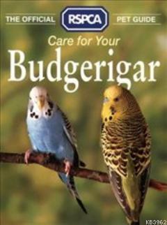 Care For Your Budgerigar