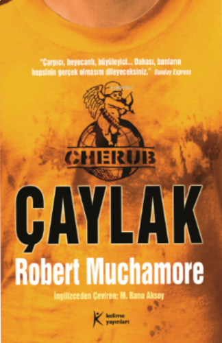 Cherub 1: Çaylak